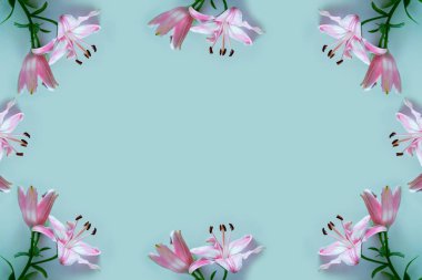 Parlak renkli lily çiçekler. Çiçek arka plan.