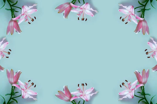 Яскраві Барвисті Квіти Лілії Квітковий Фон — стокове фото