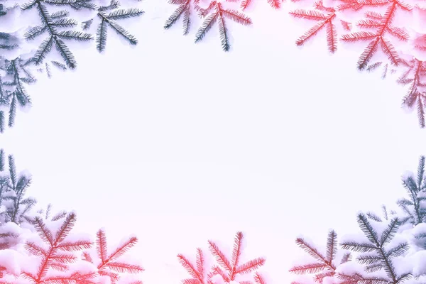 Замороженный Зимний Лес Заснеженными Деревьями Белая Сосновая Ветвь — стоковое фото
