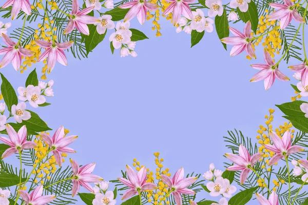 Bush sarı bahar çiçek. Çiçek arka plan.