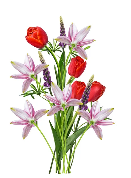 Helle Lupinenblüten Und Tulpen Isoliert Auf Weißem Hintergrund — Stockfoto