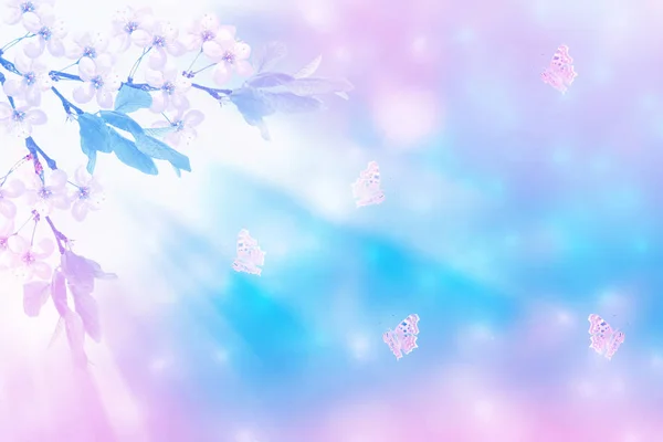 Blommande Grenäpple Ljusa Färgglada Vårblommor — Stockfoto