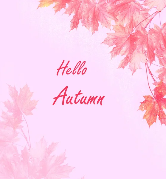 Herbstlandschaft Mit Leuchtend Bunten Blättern Indischer Sommer — Stockfoto