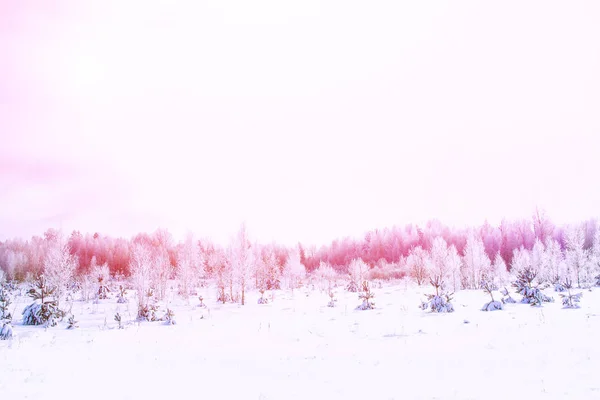 冰雪覆盖的冬季森林 — 图库照片