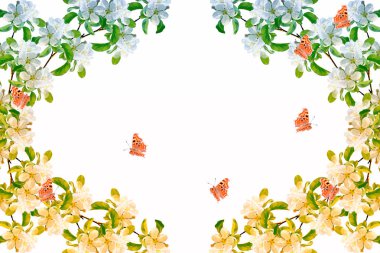 Beyaz arka planda izole edilmiş kiraz dalları. 