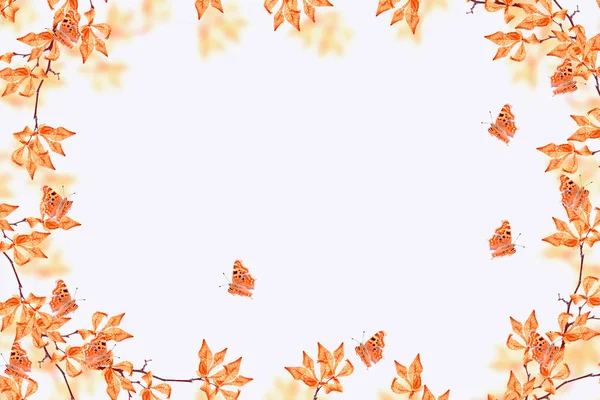 在白色背景上的明亮秋天的叶子 — 图库照片