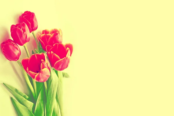 Leuchtende Und Bunte Blumen Tulpen Natürlicher Hintergrund — Stockfoto