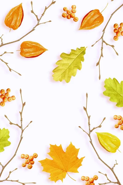 Herbst Hintergrund Mit Leuchtend Bunten Blättern Altweibersommer — Stockfoto