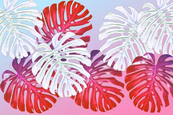 Тропические Экзотические Листья Монстров Естественный Цветочный Фон — стоковое фото
