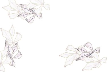 Beyaz bir arka plan üzerinde parlak sonbahar yaprak.