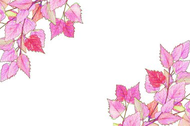 sonbaharın arka plan bırakır. Beyaz arka plan üzerinde izole