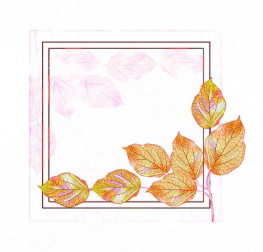 Beyaz arkaplanda parlak sonbahar akçaağaç yaprağı.