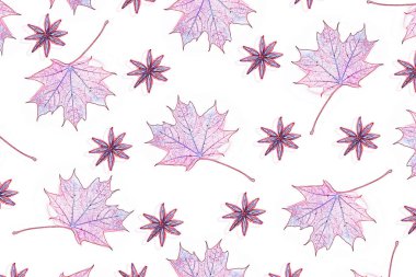 Beyaz arkaplanda parlak sonbahar akçaağaç yaprağı.