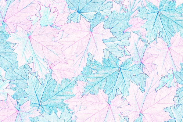 Sonbahar arka plan parlak renkli yaprakları.