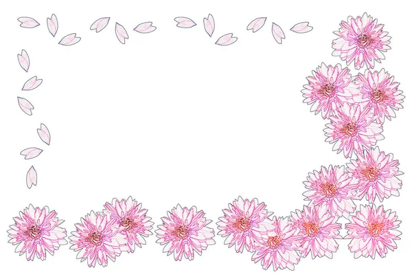 Colorful Bright Flower Dahlia Isolated White Background — Stock Photo, Image