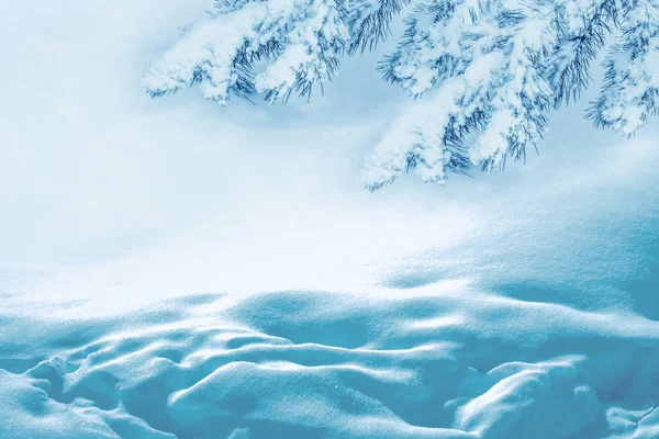Mrożony Las Zimowy Pokrytymi Śniegiem Drzewami — Zdjęcie stockowe