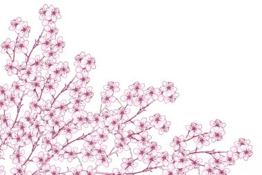 Bahar manzara. Çiçekli kiraz. Bahar çiçekli Bahçe.