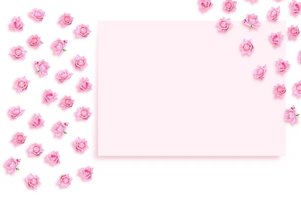 ดอกก หลาบส นสดใส นหล งดอกไม ธรรมชาต — ภาพถ่ายสต็อก
