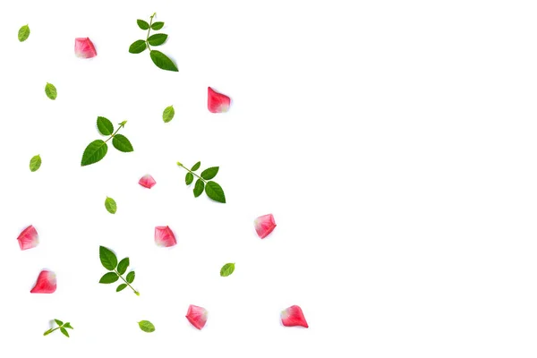 Leuchtend Rosa Rosenblätter Natürlicher Floraler Hintergrund — Stockfoto