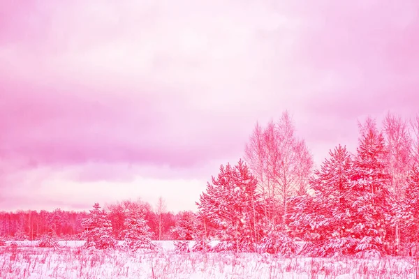 Gefrorener Winterwald Mit Schneebedeckten Bäumen — Stockfoto