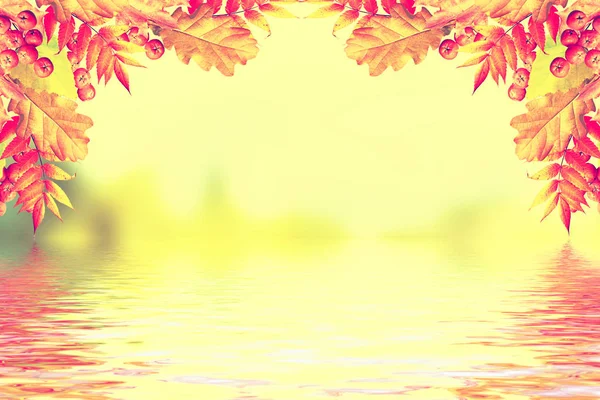 Herbstlandschaft Mit Leuchtend Buntem Laub Indischer Sommer — Stockfoto