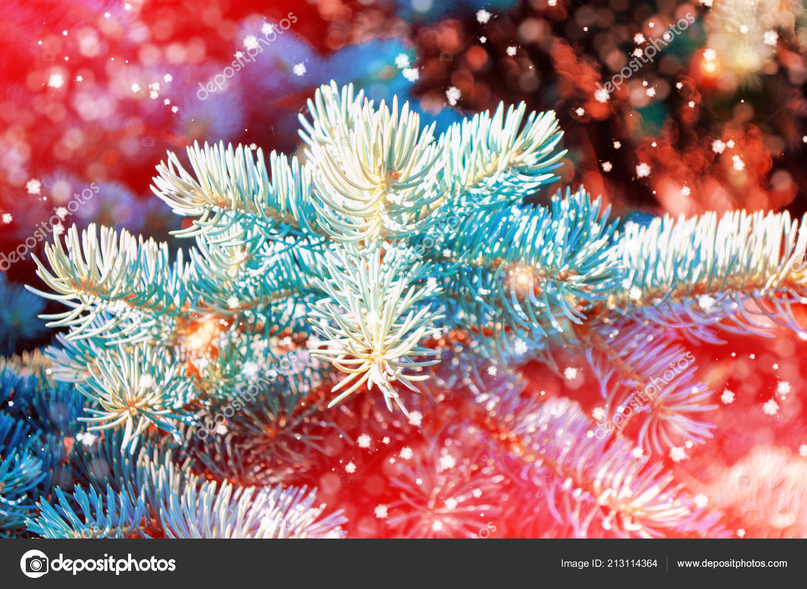 Frozen winter forest with snow covered trees pine branch Blurred christmas background — Fotografie od alenalihacheva