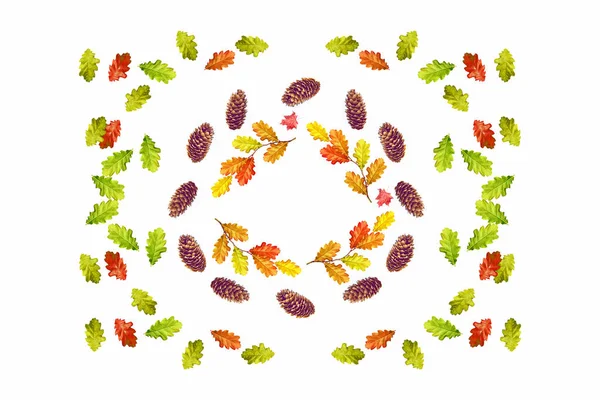 明るい葉とコーンの秋の組成 — ストック写真