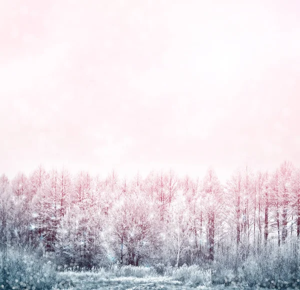 Fagyasztott Téli Erdő Havas Fákkal — Stock Fotó