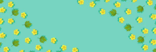 Gula Blommor Smörblomma Naturliga Blommor Våren Bakgrund — Stockfoto