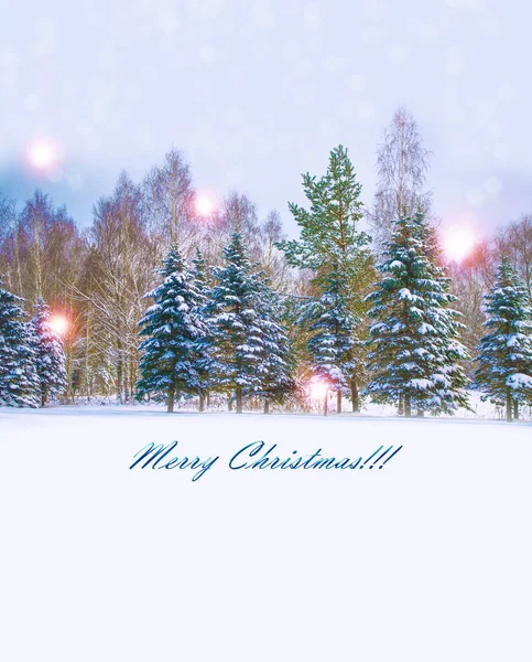 New Year Card Winter Landscape Snow Covered Trees — Stock Photo, Image