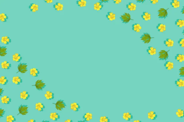 Gula Blommor Smörblomma Naturliga Blommor Våren Bakgrund — Stockfoto
