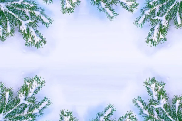 Gefrorener Winterwald Mit Schneebedeckten Bäumen Kiefernzweig — Stockfoto