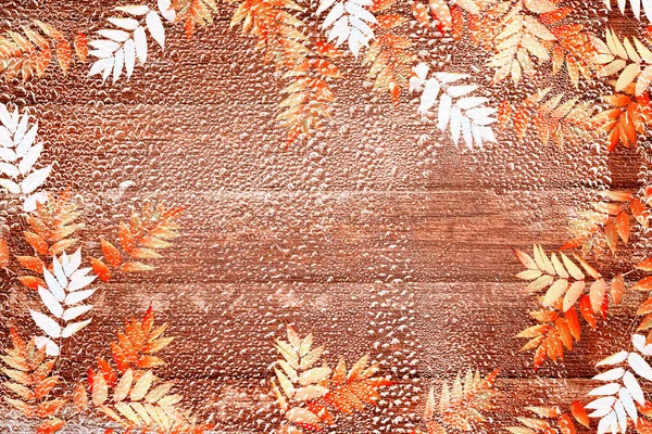 Herbstlandschaft Mit Leuchtend Buntem Laub Indischer Sommer — Stockfoto