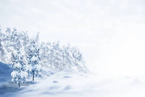 Gefrorener Winterwald Mit Schneebedeckten Bäumen — Stockfoto
