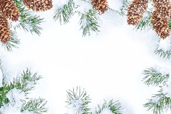 얼어붙은 눈덮인 나무들 소나무 — 스톡 사진
