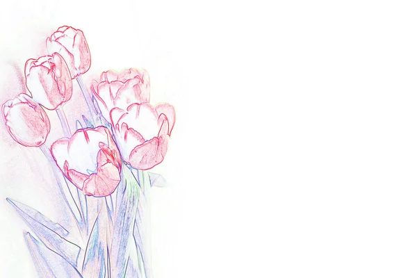 明るくカラフルな花チューリップ 自然の背景 — ストック写真