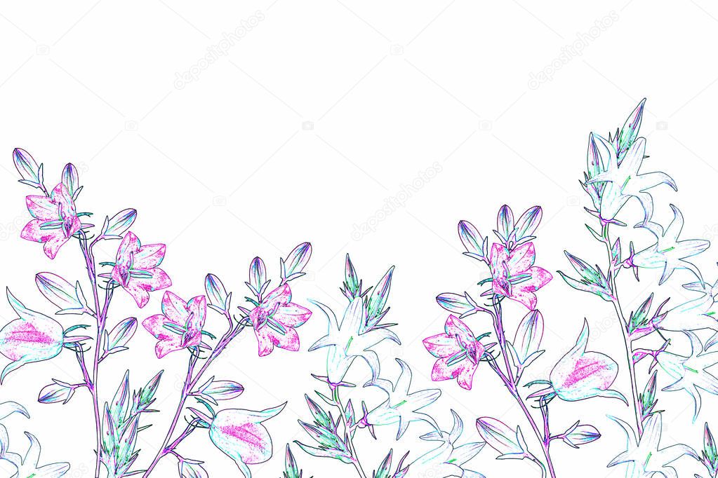 Flowers bells isolated on white background