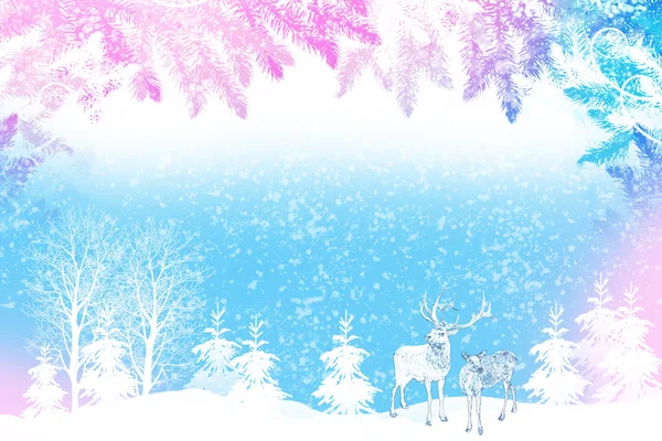 Skog Frosten Vinterlandskap Snötäckta Träd Rådjur — Stockfoto