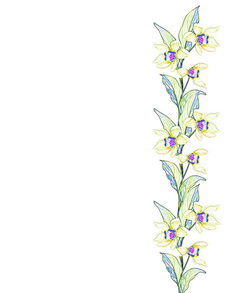 Flores Primavera Nevadas Aisladas Sobre Fondo Blanco Flor Delicada — Foto de Stock
