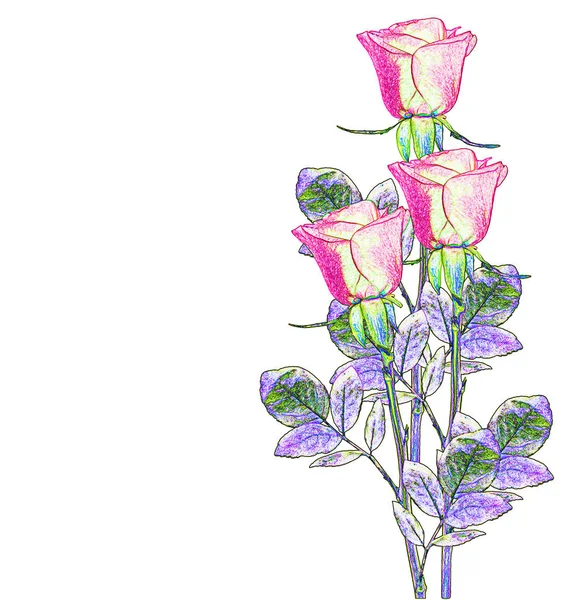 Цветочные Розы Праздник — стоковое фото