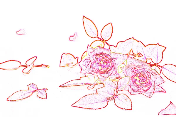 Φωτεινό Πολύχρωμο Τριαντάφυλλο Φυσικό Φόντο Λουλουδιών — Φωτογραφία Αρχείου