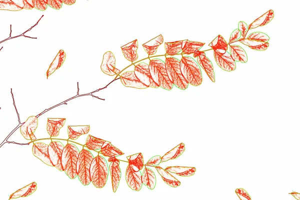 다채로운 밝은을 나뭇잎 — 스톡 사진