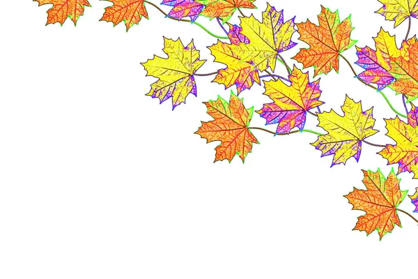 Laub Herbstblätter Isoliert Goldener Herbst — Stockfoto