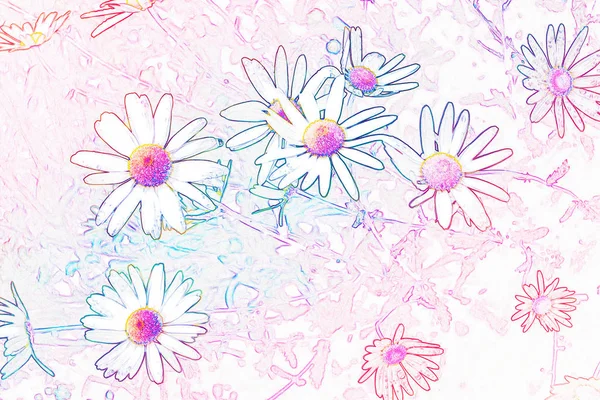 Suddig Vita Ljus Daisy Blommor Bakgrund Sommarlandskap — Stockfoto