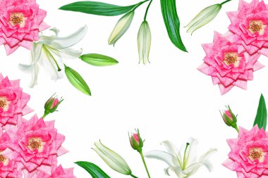 Beyaz arka plan üzerinde izole çiçek lily. gül