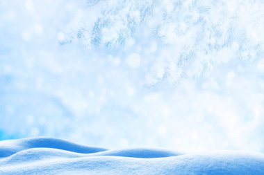 Karla kaplı ağaçlarla donuk kış ormanı.