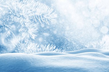 Doğal kış arka plan bulanık. kar kaplı ağaçlar.