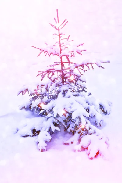 Лес Мороз Зимний Пейзаж Заснеженные Деревья — стоковое фото