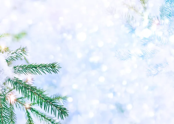 Foresta Nel Gelo Paesaggio Invernale Alberi Innevati — Foto Stock