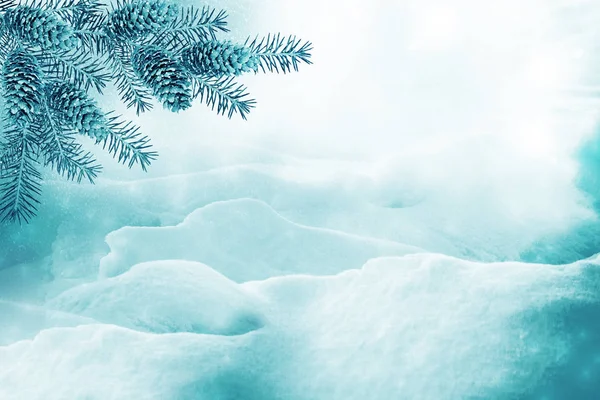 Bosque Invierno Congelado Con Árboles Cubiertos Nieve —  Fotos de Stock